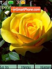 Yellow roses01 tema screenshot