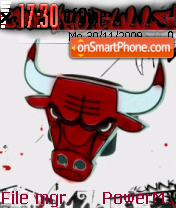 Bulls theme screenshot