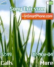 Grass tema screenshot