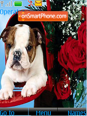 Bull Dog Valentines Day theme screenshot