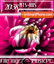 Variant Flower Red tema screenshot