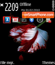 New Moon V2 01 tema screenshot