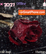 Rose tema screenshot