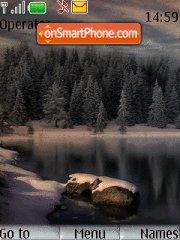 Скриншот темы Siver nature