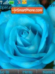 Blue rose es el tema de pantalla