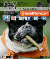 Doggi Theme-Screenshot