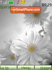 Camomile02 theme screenshot