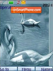 Swan tema screenshot