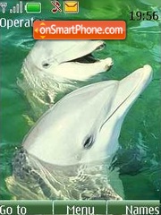 Dolphin theme screenshot