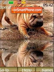 Скриншот темы Sharpei