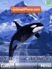 Скриншот темы Killer whale