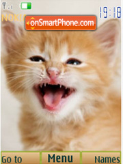 Red kittens, 12 pictures theme screenshot