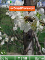 Spring flowers, slide tema screenshot