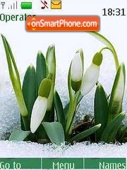 Скриншот темы Snowdrop