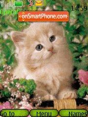 Kitten in Grass tema screenshot