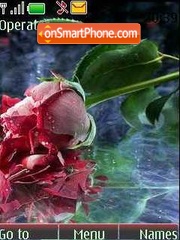 Rose tema screenshot