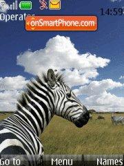 Скриншот темы Zebra 03