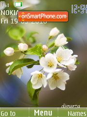 Spring (swf-anim) tema screenshot