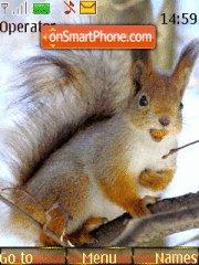 Squirrel tema screenshot