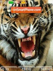 Скриншот темы Tiger Roaring