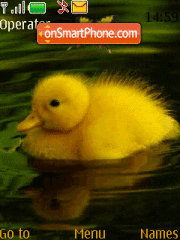 Ducky es el tema de pantalla