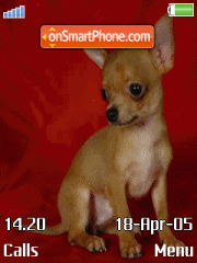 Cute Puppy es el tema de pantalla