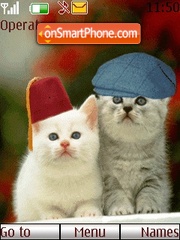 Funny Cat Couple tema screenshot