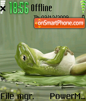 Relaxing Frog theme screenshot