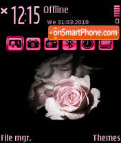 Rosa 3rd theme screenshot