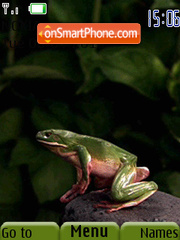 Jumping Frog tema screenshot