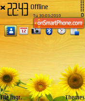 Sunflower Ovi tema screenshot