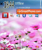 Pink flowers 03 tema screenshot