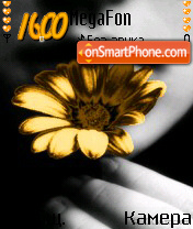 Golden Flower tema screenshot