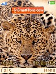 Leopard 01 tema screenshot