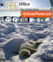 Seal 01 tema screenshot