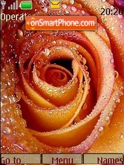 Makro rose tema screenshot