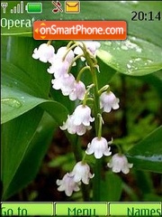 Capture d'écran Flowers of May thème