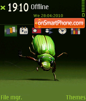 Скриншот темы A cockroach