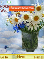 Bouquets of camomiles tema screenshot