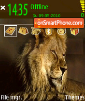 African Lion theme screenshot