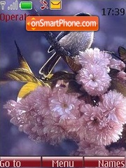 Birds and flowers tema screenshot