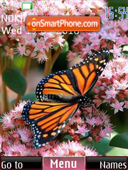 Butterfly on colors tema screenshot