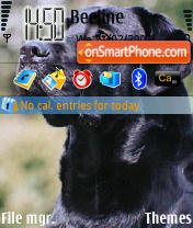 Capture d'écran Labrador N73 thème