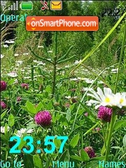 Wild Flowers theme screenshot