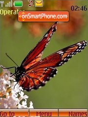 Butterfly tema screenshot