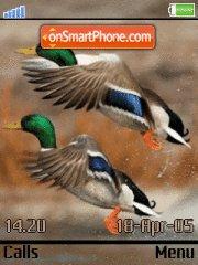 Скриншот темы Green Neck Swan