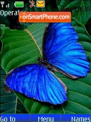 Capture d'écran Blue butterfly animated thème