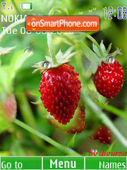 Wild Straweberry swf es el tema de pantalla