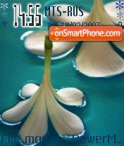 Frangipani theme screenshot