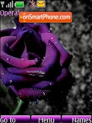 Violet rose theme screenshot